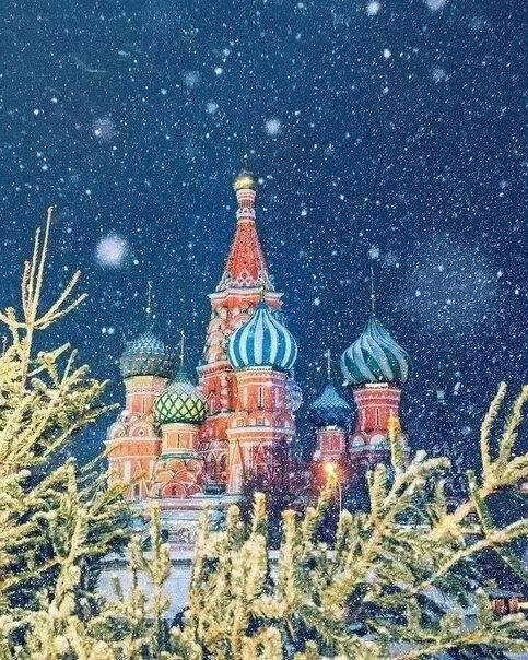 Что вы получаете за свои деньги